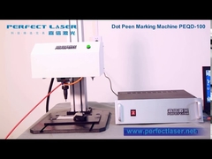 Perfect Laser-Flat Dot Peen Marking Machine (PEQD-100)