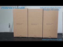 Perfect Laser-Ink System Printing Date Coding Machine Industrial Continuous Inkjet Printer (PM-100B)